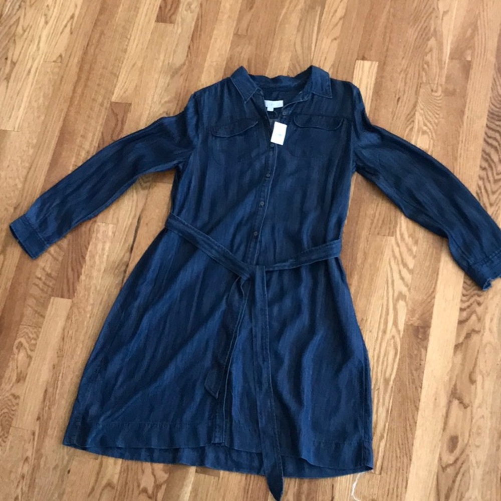 Loft Denim Shirtdress
